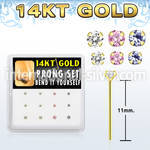 dgys12 gold belly bananas nose piercing