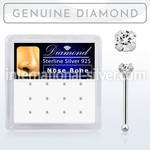 dnbpd nose bone silver 925 nose