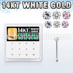 dwnb12 gold nose bones nose piercing