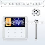 dwnb15 gold nose bones nose piercing