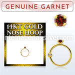 ghge2 nose hoop gold nose