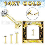 glbfr 14 k gold labret stud threadless push top flat ferido