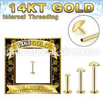 glbrdi 14 karat gold labret stud 16g round top internal