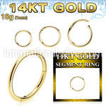 gsegh18 14 karat yellow gold hinged segment hoop 18g