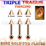 hexttbcn straight barbells anodized surgical steel 316l tragus