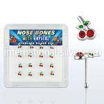 nbch16 nose bone silver 925 nose