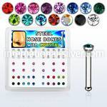 nbsxm nose bone surgical steel 316l nose