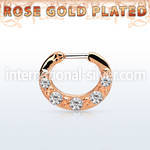 rsepg16 straight barbells silver 925 septum