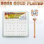 rsnbpxc nose bone silver 925 nose