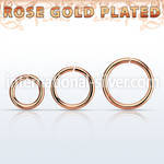 rssel16 seamless segment rings silver 925 nose