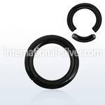 segt6 seamless segment rings anodized surgical steel 316l ear lobe