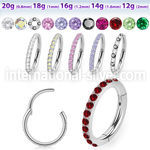 sgsh10 surgical steel segment ring cz stones