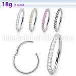sgshs10 steel hinged segment hoop 18g cnc pave set cz