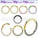 sgtsh11 anodized surgical steel segment ring cz stones side