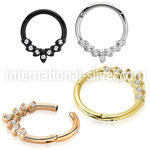 sgtsh30 pvd plating steel hinged segment hoop leaves cnc cz