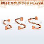 spettd25 spirals twisters anodized surgical steel 316l eyebrow