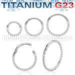 usgsh41 titanium hinged segment hoop 16g pyramids side