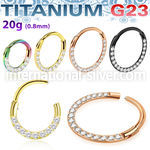 usgshss11t pvd plating titanium hinged segment hoop cnc cz