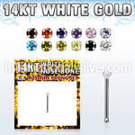 wbzm12 nose bone gold nose