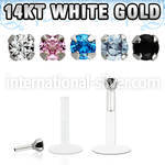 wgbizm labrets lip rings bioflex ptfe labrets chin