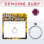 whge5 nose hoop gold ear lobe
